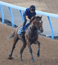 【関屋記念・特選有力馬チェック】ダノンセンチュリーは買うべき？