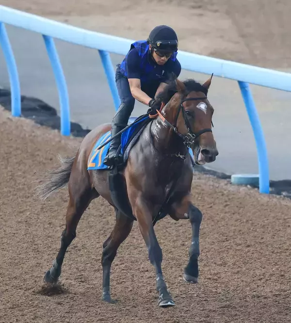 【関屋記念・特選有力馬チェック】ダノンセンチュリーは買うべき？