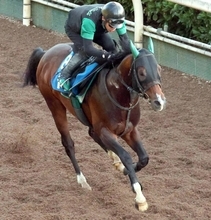 【ＣＢＣ賞・特選有力馬チェック】レイピアは買うべき？