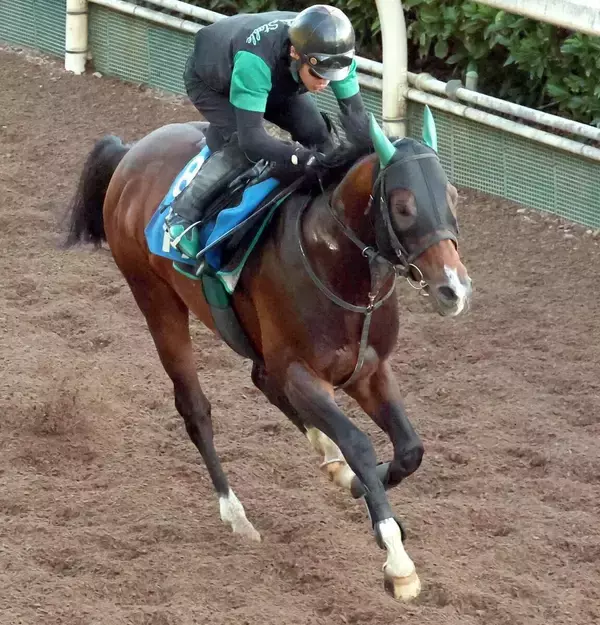 【ＣＢＣ賞・特選有力馬チェック】レイピアは買うべき？