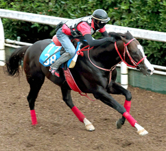 【ＣＢＣ賞】「下を見ずに上だけ向いて…」ＪＲＡ重賞初制覇の中井裕二騎手は感無量　１２番人気フロムダスク重賞初Ｖ　