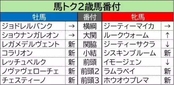 【馬トク２歳番付２】牝馬で能力指数１位の横綱が中京２歳Ｓを快勝！　牡馬ではダート路線のモンスターが誕生