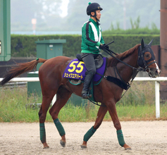 【天皇賞・秋】札幌記念レコードＶから挑むシェイクユアハート　陣営「馬のバランスが良くなった」