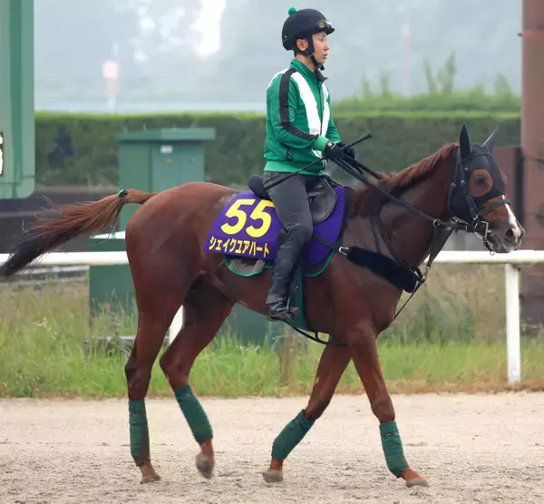【天皇賞・秋】札幌記念レコードＶから挑むシェイクユアハート　陣営「馬のバランスが良くなった」