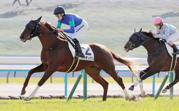 【京都６Ｒ・２歳新馬】仕上がり早い一族のパラディオンが直線で抜け出しＶ　高杉吏麒騎手「器用さが必要」