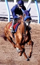 【阪神ＪＦ・山下の特注馬】２連勝中のアルバンヌに期待　栗東滞在で調整も万全