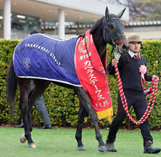 【注目馬動向】カペラＳ圧勝のテーオーエルビスはリヤドダートスプリントへ　同レース２着のヤマニンチェルキも参戦