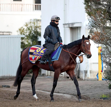 ２３年の日本ダービー馬タスティエーラが競走馬登録を抹消　優駿スタリオンステーションで種牡馬に