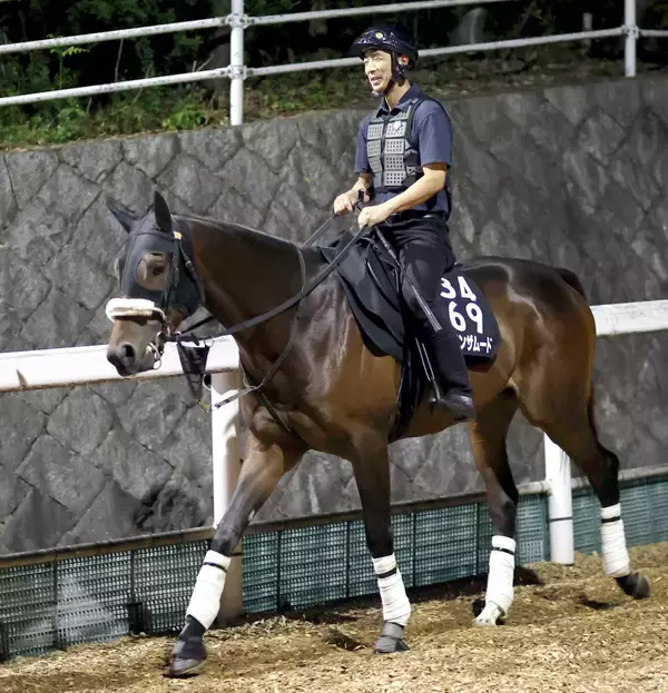 【注目馬動向・古馬】コールドムーンＳ２着のドンインザムードは根岸Ｓへ　ドロップオブライトは阪急杯目標