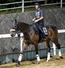 【注目馬動向・古馬】コールドムーンＳ２着のドンインザムードは根岸Ｓへ　ドロップオブライトは阪急杯目標