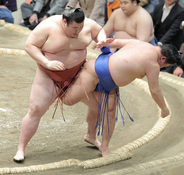 熱海富士が９連勝　藤ノ川に勝ち、２敗で首位守る　２日連続の横綱撃破で勢い