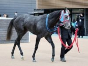 【注目馬動向】紅梅Ｓで７着のマーブルパレスはマーガレットＳへ　１２００メートルで反撃へ