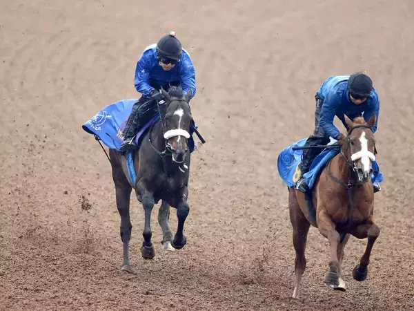 【フェブラリーＳ・１週前】シックスペンスがラスト１１秒３できっちり先着　国枝調教師「さらに良くなっている」