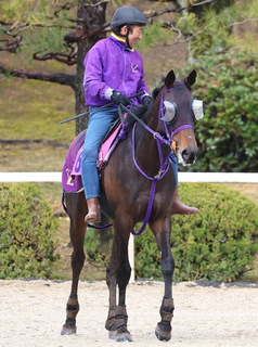 サンアントワーヌは坂路で最終調整