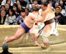 新入幕の藤青雲、朝乃山を押し出して初白星　今場所の目標は「１０番以上勝って敢闘賞」