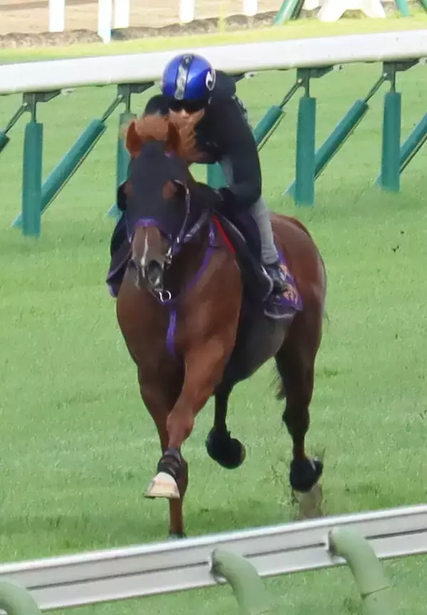 【キーンランドＣ】９歳馬ウインカーネリアンは三浦皇成騎手を背に活気ある動き　「スプリンターズＳに向けて...」