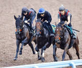 「【京成杯ＡＨ】フォルテアンジェロ初のマイル戦で飛躍へ　上原佑調教師「中山は力を発揮出来る舞台。秋は活躍してほしい」」の画像1