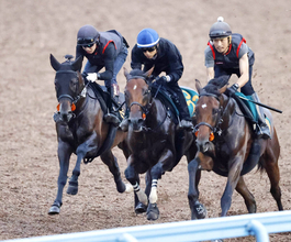 【京成杯ＡＨ】フォルテアンジェロ初のマイル戦で飛躍へ　上原佑調教師「中山は力を発揮出来る舞台。秋は活躍してほしい」