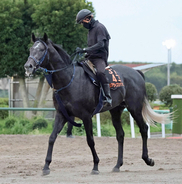 【毎日王冠】注目の３歳勢は内・外に分かれる　皐月賞２着リアライズシリウスは１枠２番　ライヒスアドラーは６番　アドマイヤクワッズ１６番