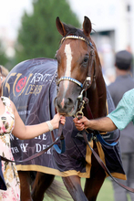 ミスティックダンが引退し種牡馬入り　フォーエバーヤング下し２３年ケンタッキーダービー制覇