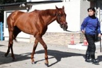 【阪神ＪＦ】２連勝中のアルバンヌは３枠６番に決定　陣営「ちょうどいいところ」