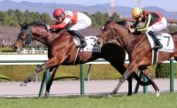 阪神５Ｒで注目馬２頭がともに敗れる！　名牝ジェンティルドンナの娘は２着　超高額馬サガルマータも３着どまり