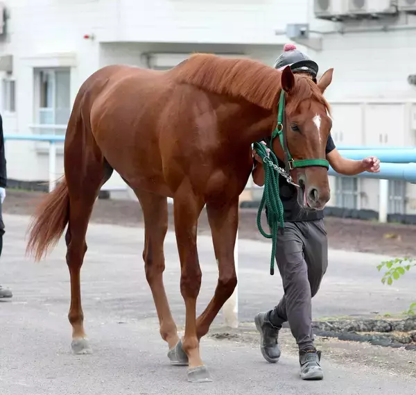 【ホープフルＳ・山下の特注馬】アーレムアレスのポテンシャルに賭ける　鞍上の菱田裕二騎手も手応え「今までで一番いい」
