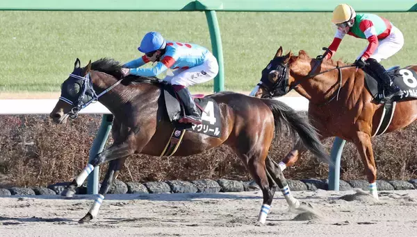 【中山９Ｒ・黒竹賞】後方から早めに動いたマクリールがまくりＶ　横山武史騎手「かなり良くなると思う」