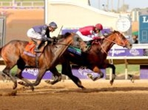 最優秀ダート古牡馬のフォーエバーヤング　米国の年度代表馬は惜しくも逃す　年度代表馬は３歳２冠のソヴリンティ