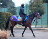 「【阪急杯】重賞８度目の挑戦となるレイベリング　鹿戸調教師「開幕週の１４００メートルはいい舞台」１週前は自己ベスト」の画像1