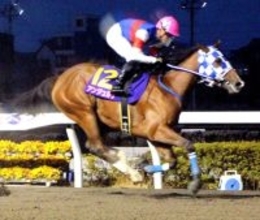 【浦和競馬】アンジュルナがユングフラウ賞を６馬身差の圧勝　桜花賞最有力候補へ