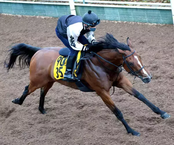 【福島牝馬Ｓ】パラディレーヌ重賞初制覇へ軽快なフットワーク　福島カギも千田調教師「（能力で）クリアしてほしい」