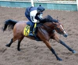 【福島牝馬Ｓ】パラディレーヌ重賞初制覇へ軽快なフットワーク　福島カギも千田調教師「（能力で）クリアしてほしい」