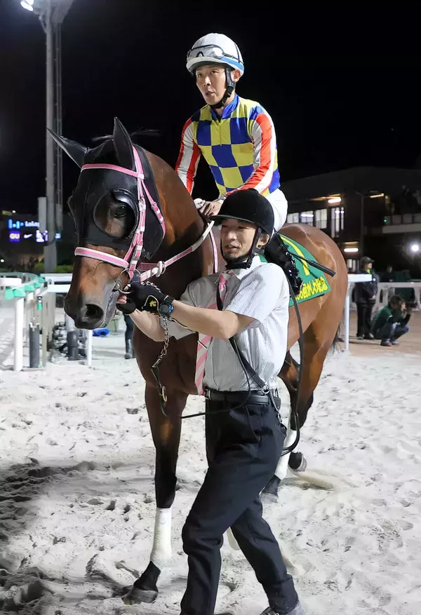 【かしわ記念】シャマルは同レース初の３連覇ならず　５戦ぶり川須栄彦騎手とコンビも６着
