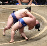 「幕内・藤青雲が６勝目　前日は関脇・熱海富士に善戦も、取り直しの末に黒星「ずっと悔しくて、１時半まで寝れなかった」」の画像1