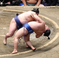 幕内・藤青雲が６勝目　前日は関脇・熱海富士に善戦も、取り直しの末に黒星「ずっと悔しくて、１時半まで寝れなかった」
