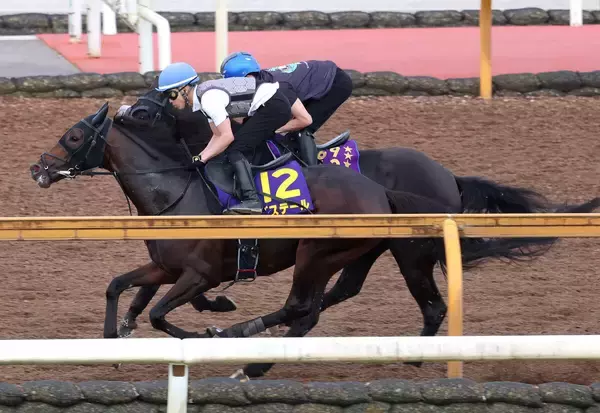 【日本ダービー】クロワデュノールとバステールが“競演”　史上初連覇へ斉藤崇史調教師「状態は良さそう」