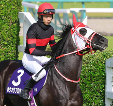 【注目馬動向】矢作厩舎の次走が続々と発表　障害馬のホウオウプロサンゲ、３歳ダート路線リアライズグリントなど