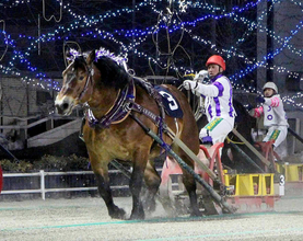 ばんえい競馬の最強王者　メムロボブサップが１年半ぶりに負けた　単勝１・１倍も１１連勝でストップ　キングフェスタが大金星
