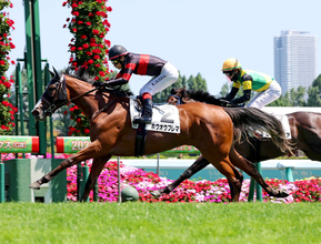 【札幌５Ｒ・２歳新馬】池添謙一騎手がブラストワンピースの姪ホウオウプレマで差し切り　「ゆかりの血統で...」