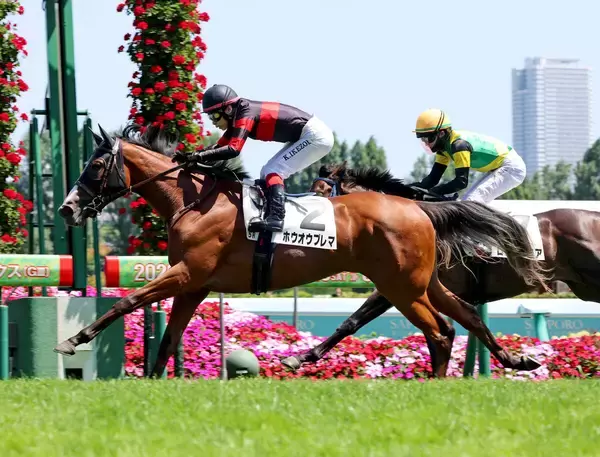 【札幌５Ｒ・２歳新馬】池添謙一騎手がブラストワンピースの姪ホウオウプレマで差し切り　「ゆかりの血統で...」