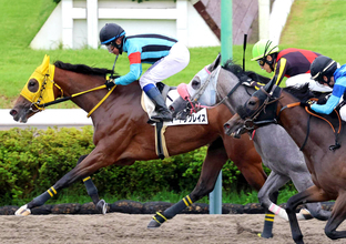 【中山４Ｒ】岩田康誠騎手がお得意の“イン突き”でマートングレイスを新馬Ｖに導く　「狭いところも関係なく」