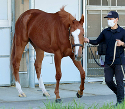【注目馬動向】秋華賞５着のサムシングスイートはエリザベス女王杯を視野に　伊藤大調教師が明かす