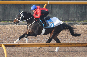 【京都記念１週前】素質の高いエコロディノスが猛時計　池添謙一騎手「１週前で良かったです」