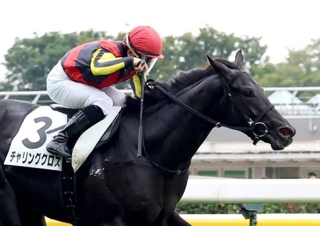 痛恨の発馬失敗で沈んだダービー馬の全弟に「新馬戦の再放送」「全然あかん」　大舞台が遠退くチャリングクロス