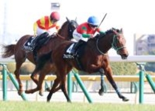 【フリージア賞】小柄な牝馬でもガッツあふれる走りでファムクラジューズがＶ　キング騎手「とてもタフ」