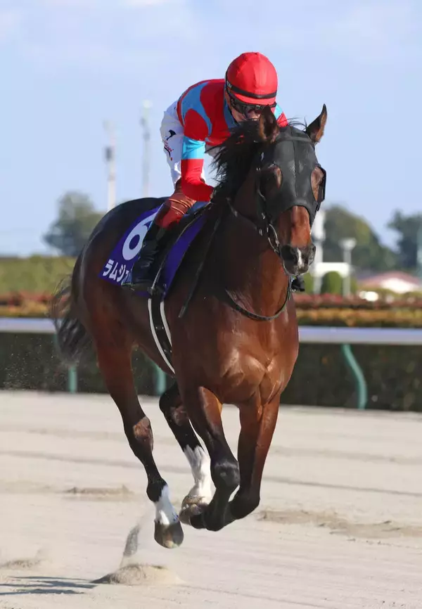 【フェブラリーＳ】出遅れ→レース後に下馬のラムジェットにネット不安「無事を祈ります」「大丈夫？」