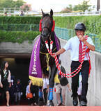 「今週ラストの佐々木調教師にＪＲＡ全１０場重賞Ｖもたらしたインプレスが競走馬登録抹消　昨夏の新潟ジャンプＳ制覇　」の画像1