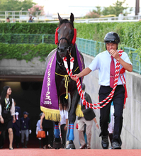 今週ラストの佐々木調教師にＪＲＡ全１０場重賞Ｖもたらしたインプレスが競走馬登録抹消　昨夏の新潟ジャンプＳ制覇　