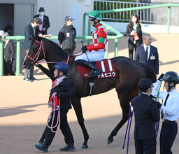 【スプリングＳ】名付け親ＧＬＡＹのＴＥＲＵは「すまぬ」と一言　テルヒコウは力を発揮できず１４着